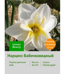 Нарцисс Бабочковидный Lemon Beauty