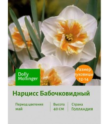 Нарцисс Бабочковидный Dolly Mollinger