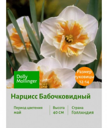 Нарцисс Бабочковидный Dolly Mollinger
