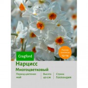 Нарцисс Многоцветковый Cragford