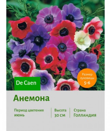 Анемона De Caen