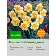 Нарцисс Бабочковидный Donaupark