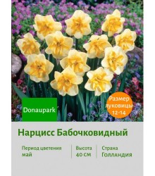 Нарцисс Бабочковидный Donaupark