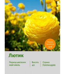 Лютик Double yellow