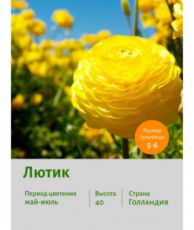 Лютик Double yellow