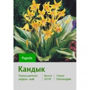 Кандык Pagoda