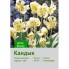 Кандык White Beauty