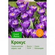 Крокус Grand Maitre