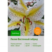 Лилия Gold Party