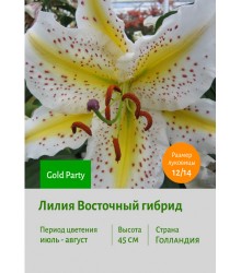 Лилия Gold Party
