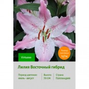 Лилия Virtuoso