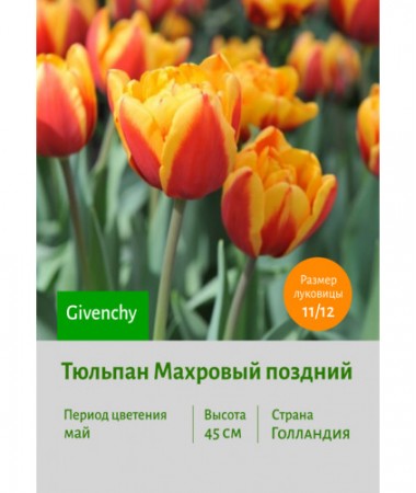 Тюльпан Махровый поздний Givenchy