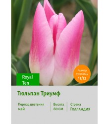 Тюльпан Триумф Royal Ten