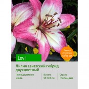 Лилия Levi