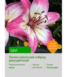 Лилия Levi