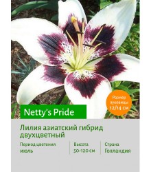 Лилия Netty's Pride