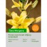 Лилия Fata Morgana