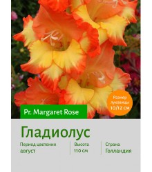 Гладиолус Pr. Margaret Rose