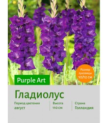 Гладиолус Purple Art