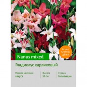 Гладиолус карликовый Nanus mixed