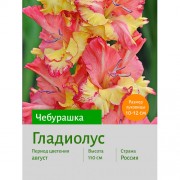 Гладиолус Чебурашка