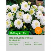 Георгина Gallery Art Fair