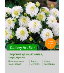 Георгина Gallery Art Fair Георгина Gallery Art Fair