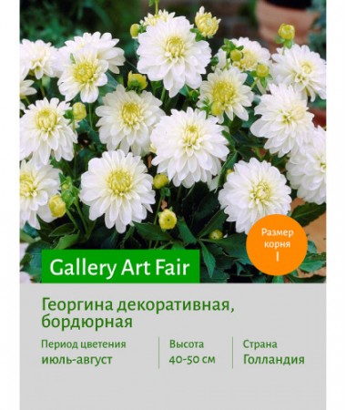 Георгина Gallery Art Fair