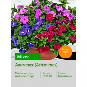 Ахименес mixed