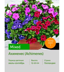 Ахименес mixed