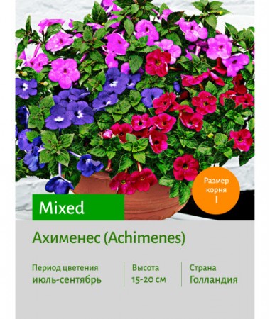 Ахименес mixed
