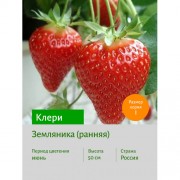 Земляника Клери