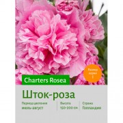 Шток-роза Rosea