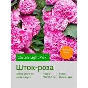 Шток-роза Light Pink