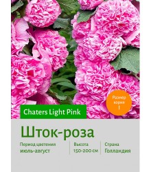 Шток-роза Light Pink