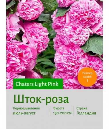 Шток-роза Light Pink