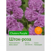 Шток-роза Purple