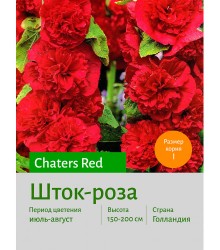 Шток-роза Red