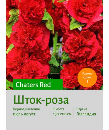 Шток-роза Red