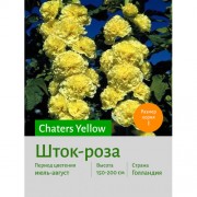 Шток-роза Yellow