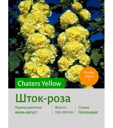 Шток-роза Yellow