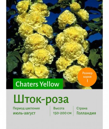 Шток-роза Yellow