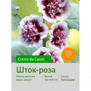 Шток-роза Creme de Cassis