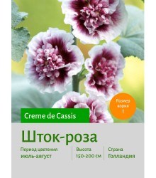 Шток-роза Creme de Cassis
