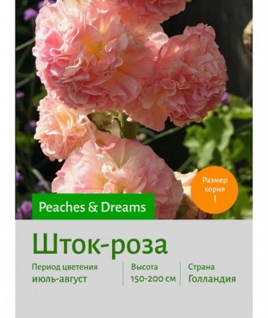 Шток-роза Peaches Dreams