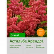Астильба Granat Астильба Granat