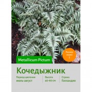Кочедыжник Metallicum Pictum