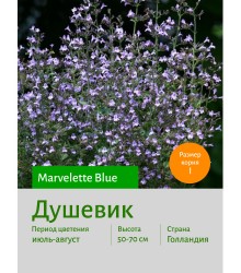 Душевик Marvelette Blue