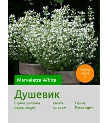 Душевик Marvelette White