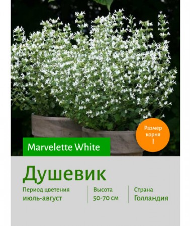 Душевик Marvelette White